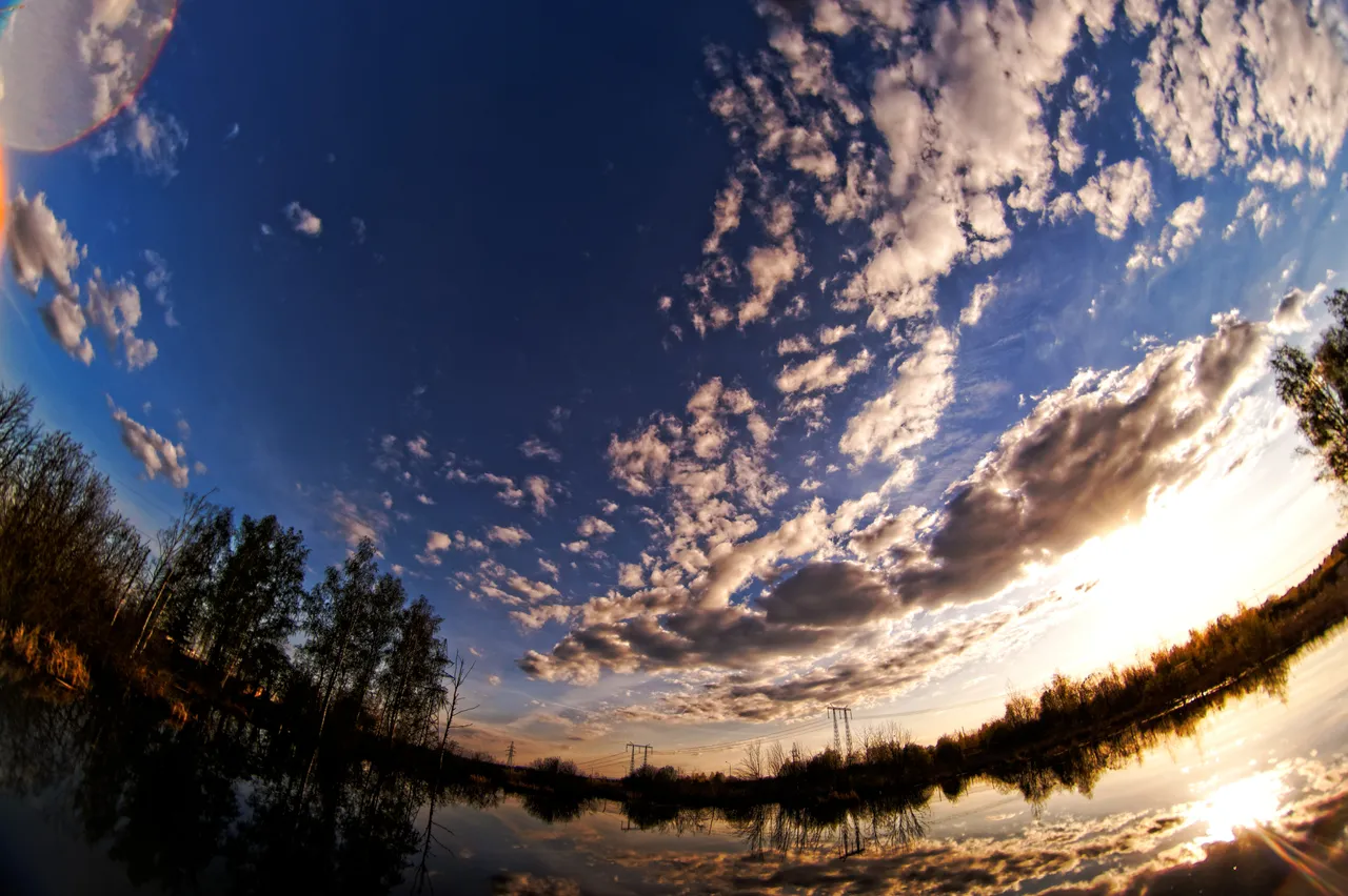 DSC07623_Dx_O