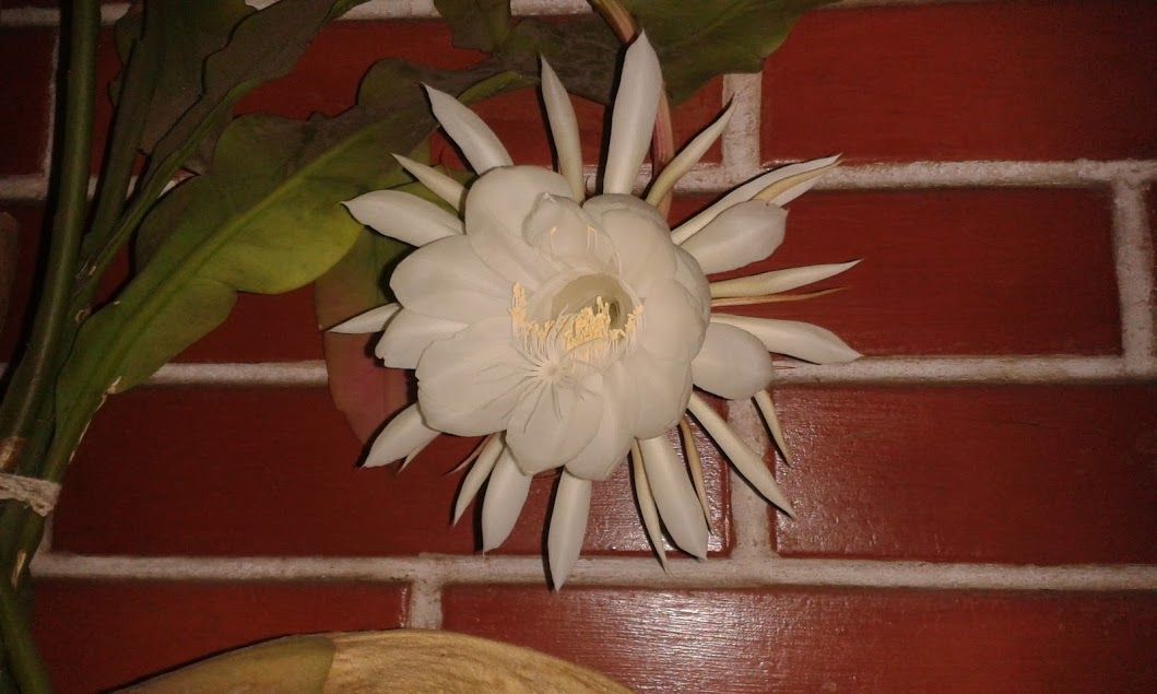 20181022_220638.jpg