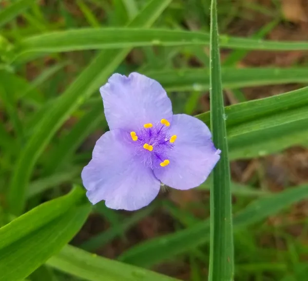 20180514_071126.jpg