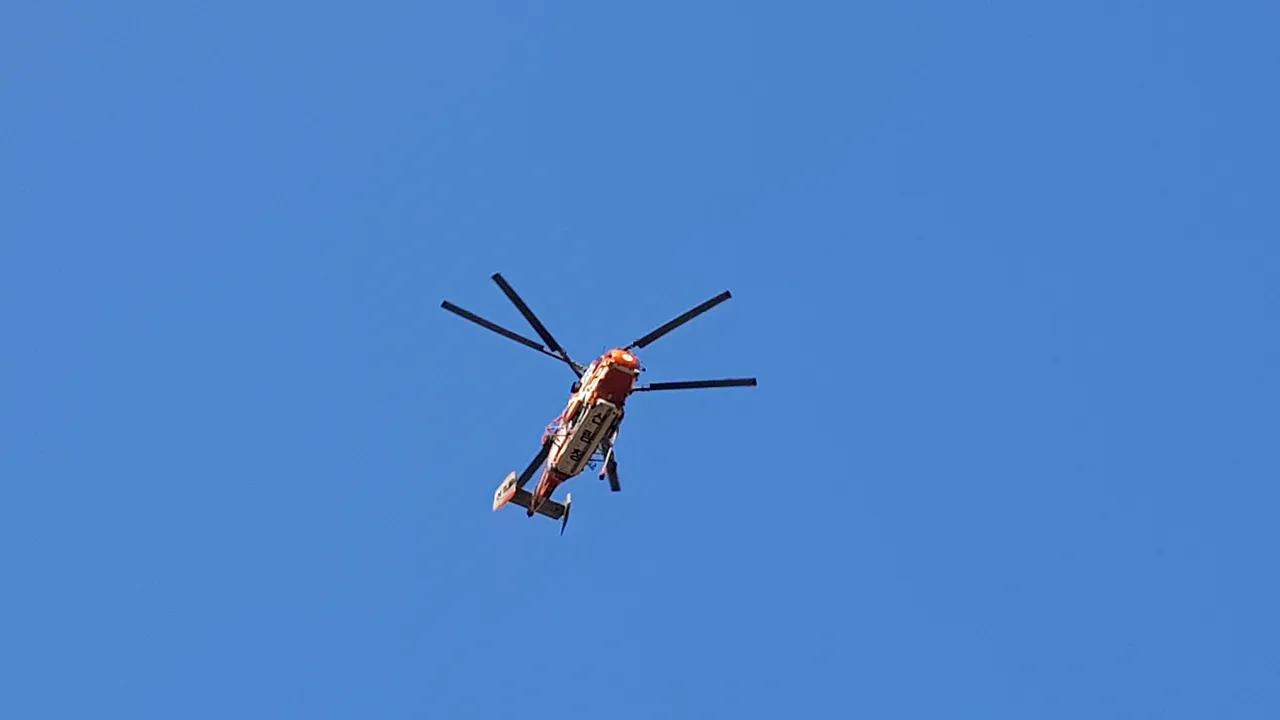 20190403_165059.jpg