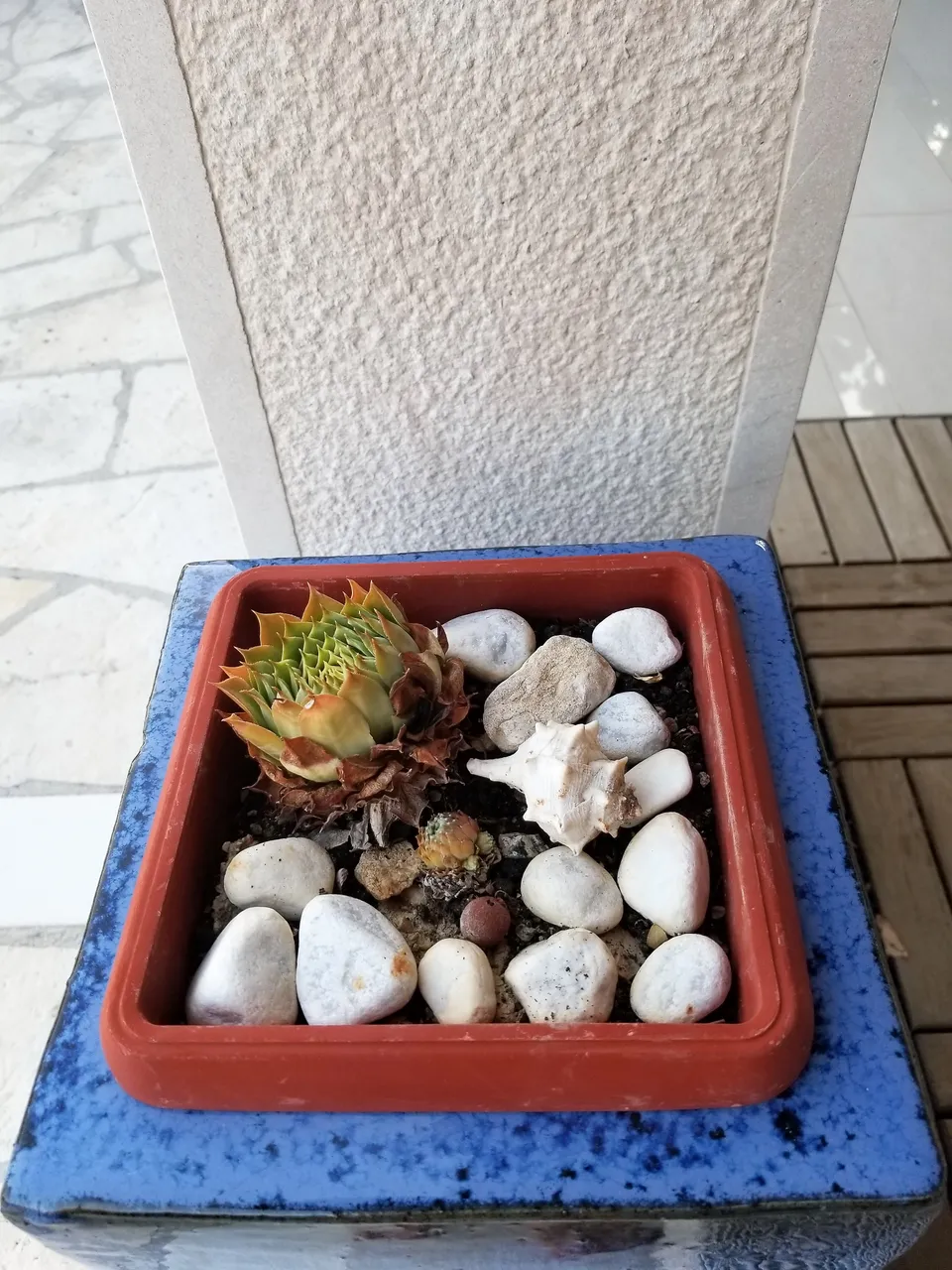 20180813_192636.jpg