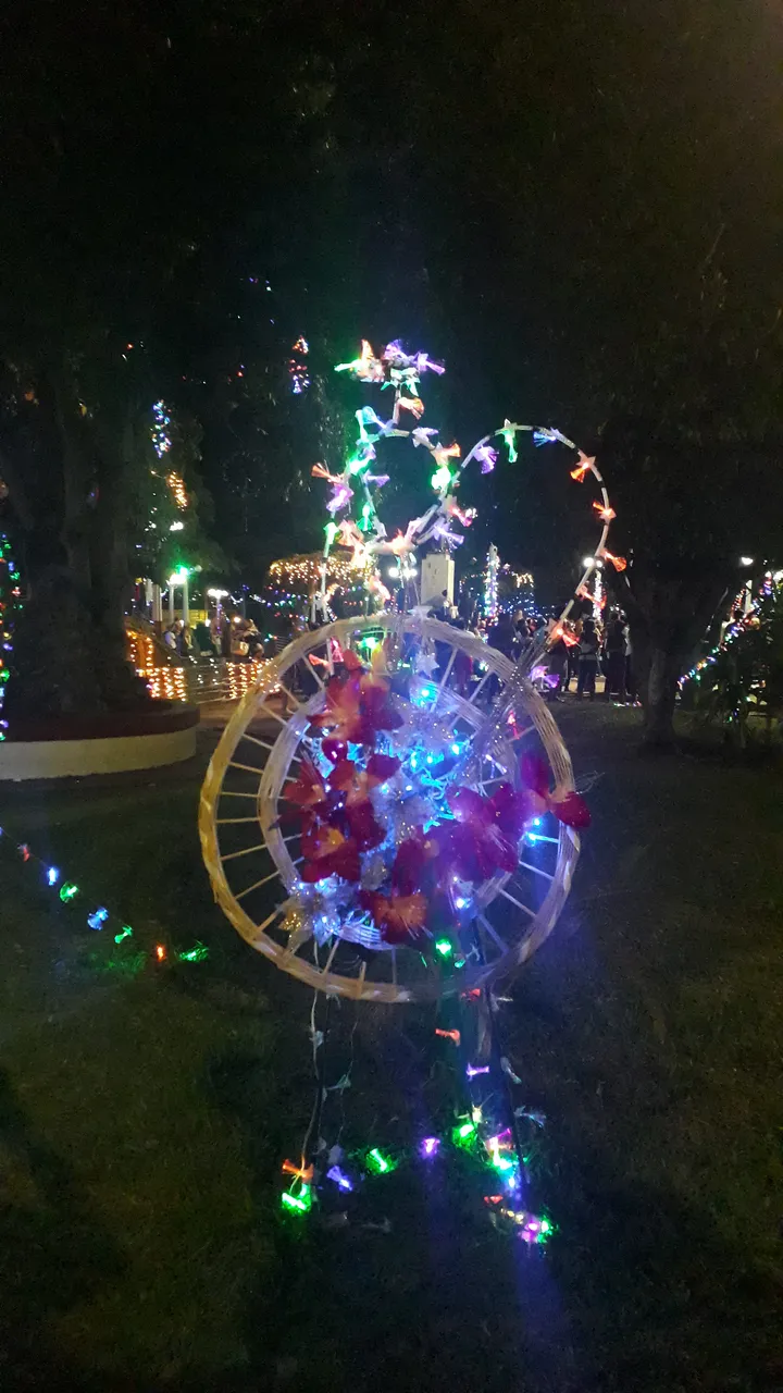 20191129_212459.jpg