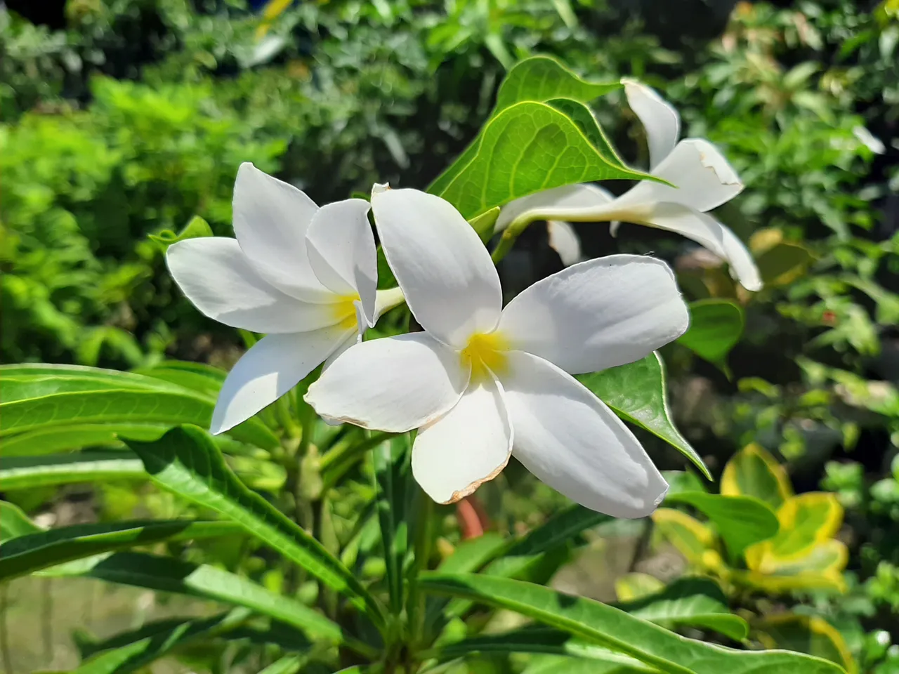 20190801_110306.jpg