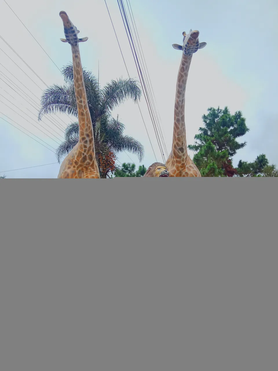 1970-01-20-123808837.jpg