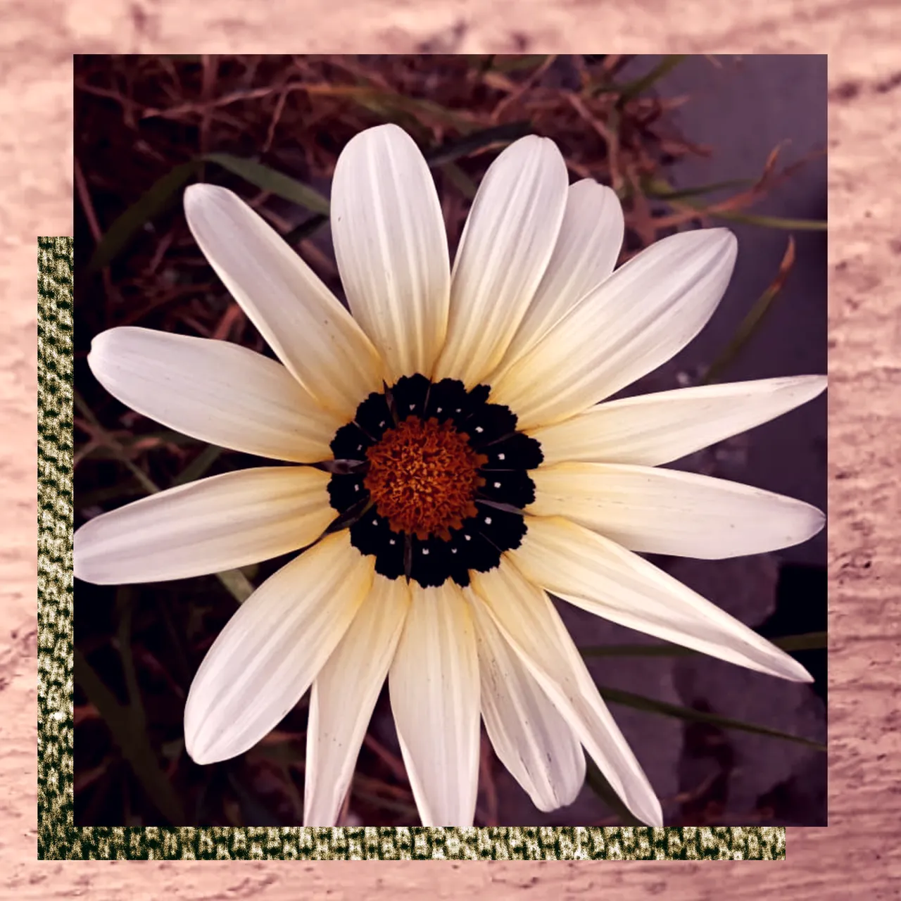 20200904_155526_0000.png