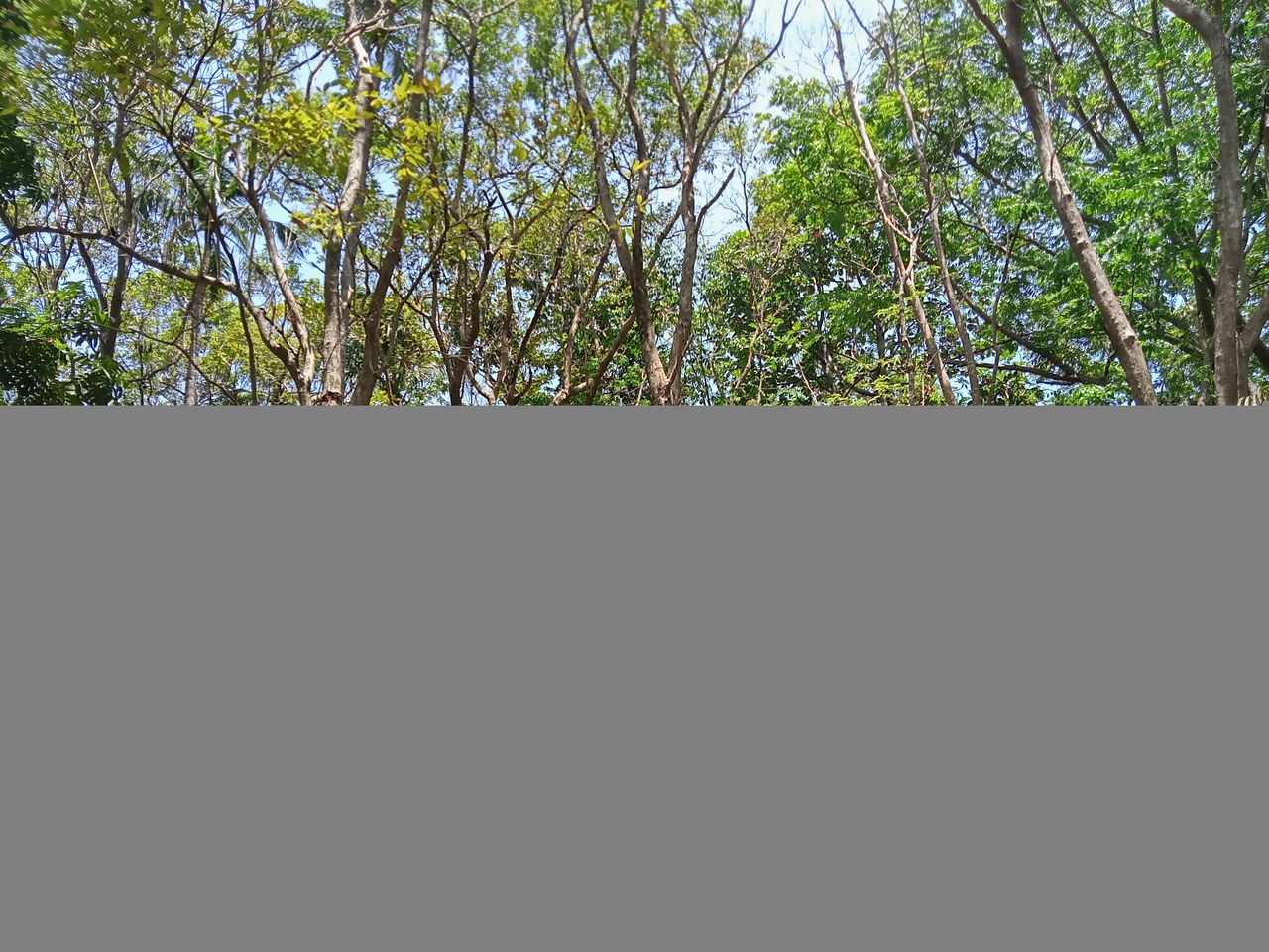 IMG20260415110848_00.jpg
