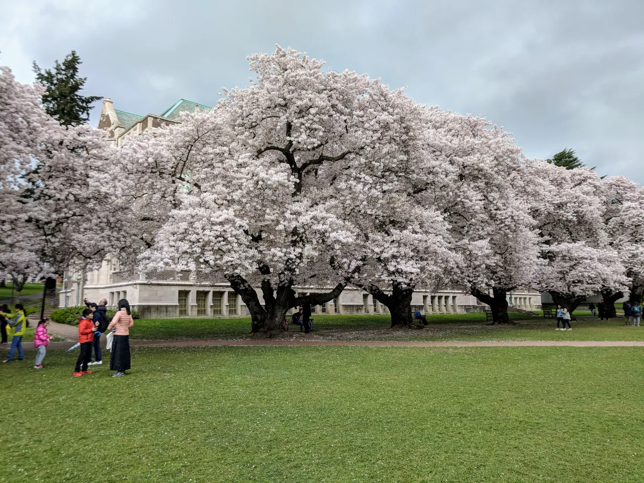 IMG_20180401_143304.jpg