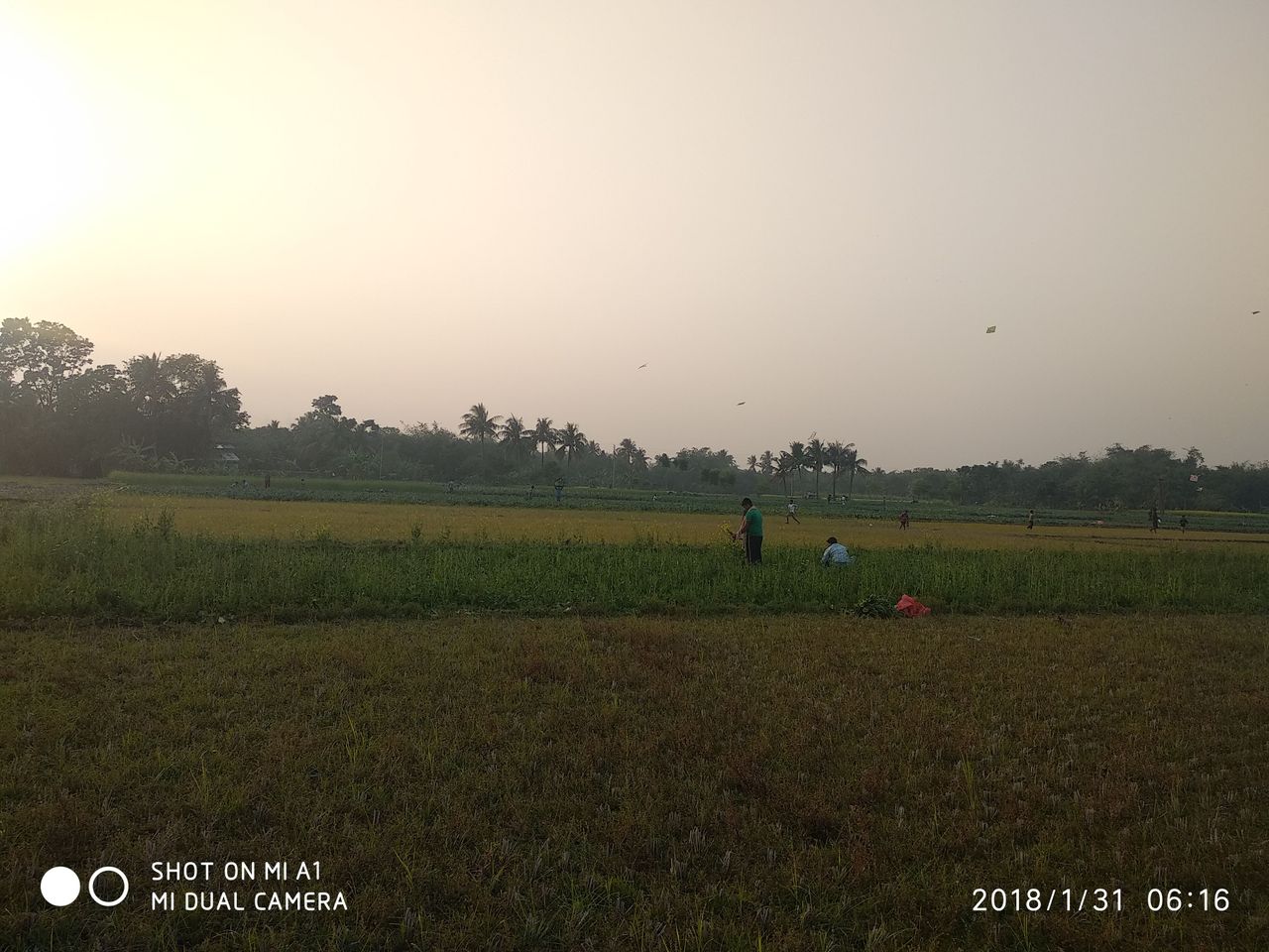 IMG_20180131_061609.jpg
