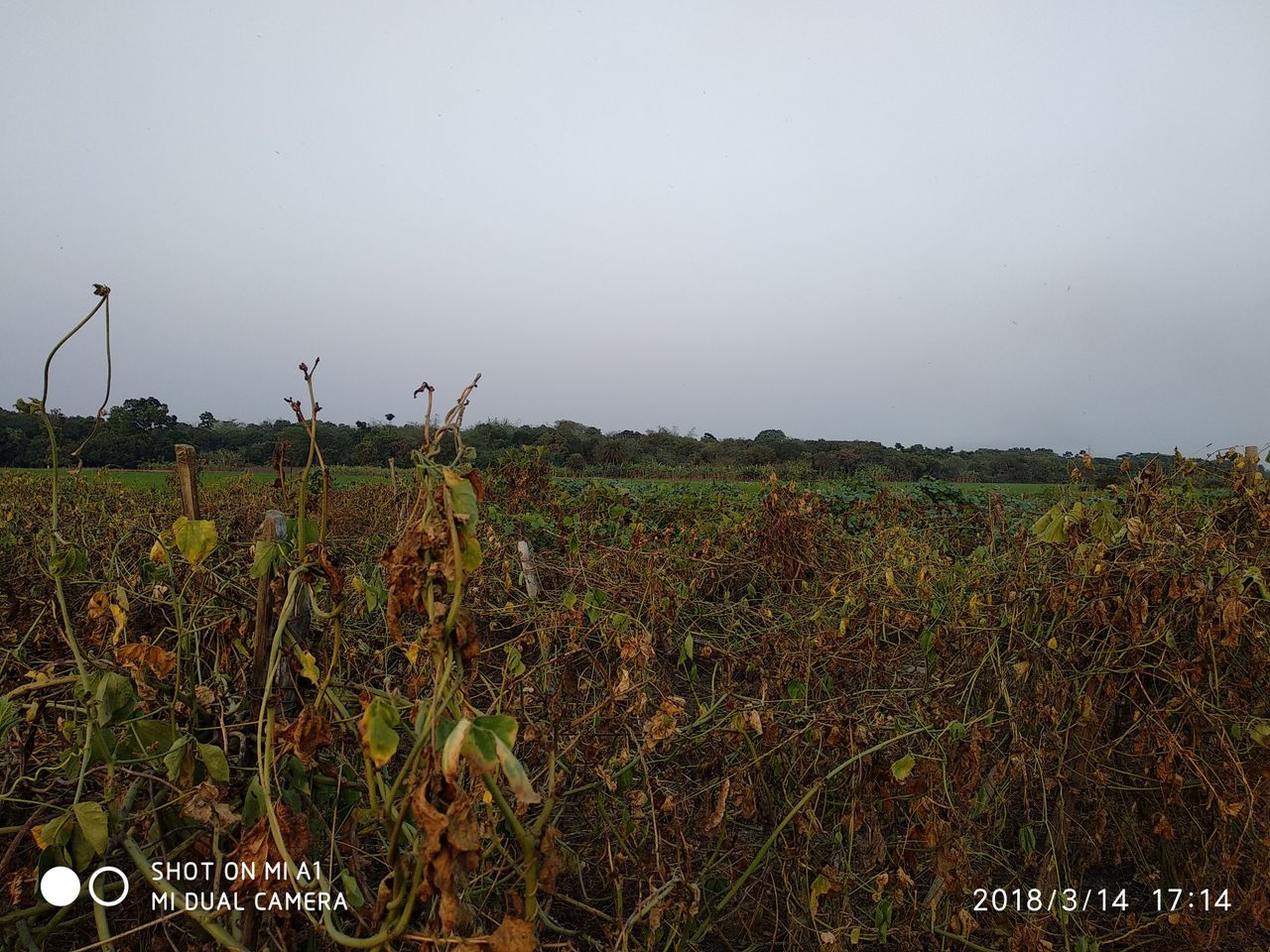 IMG_20180314_171444.jpg