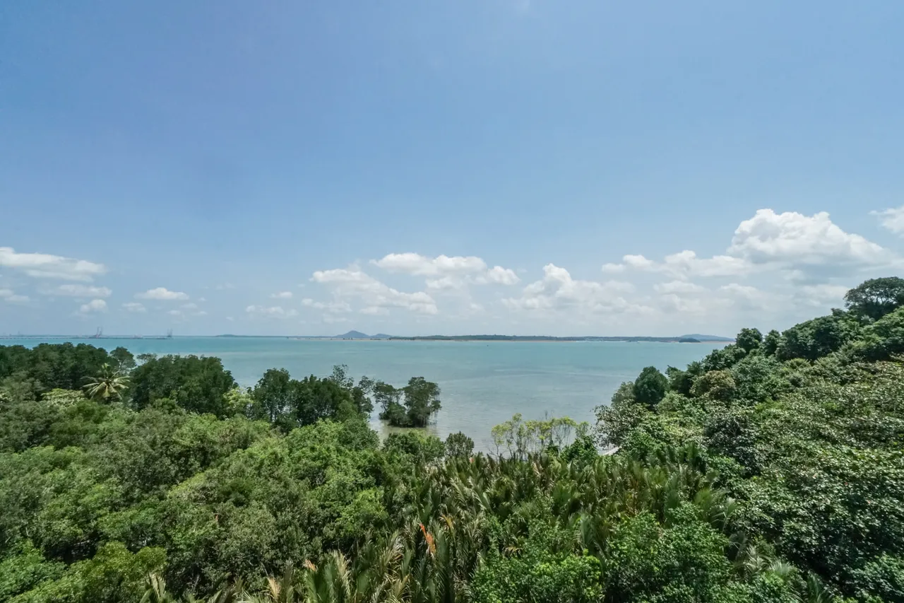 ausblick-pulau-ubin.jpg