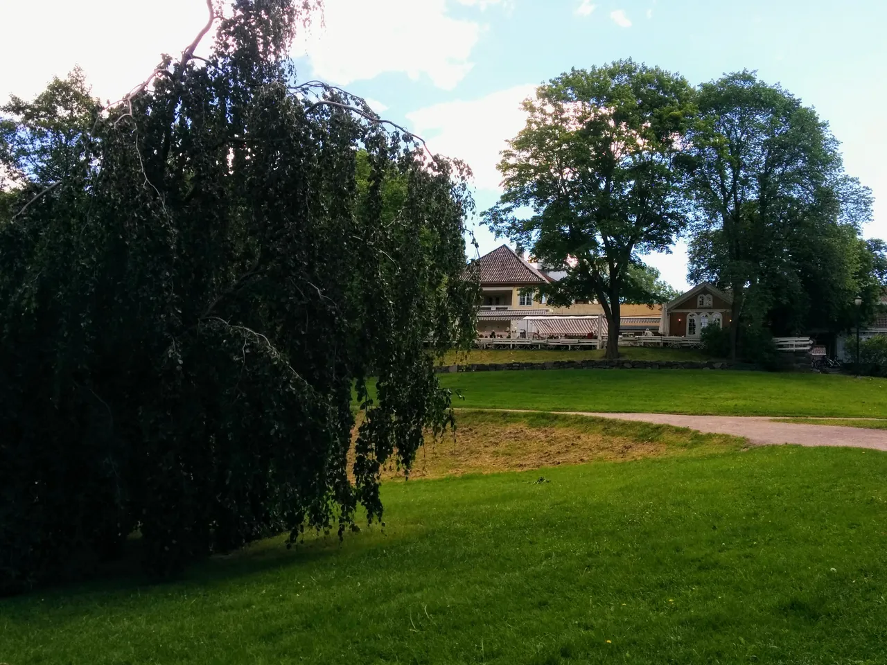 IMG_20170621_120744.jpg