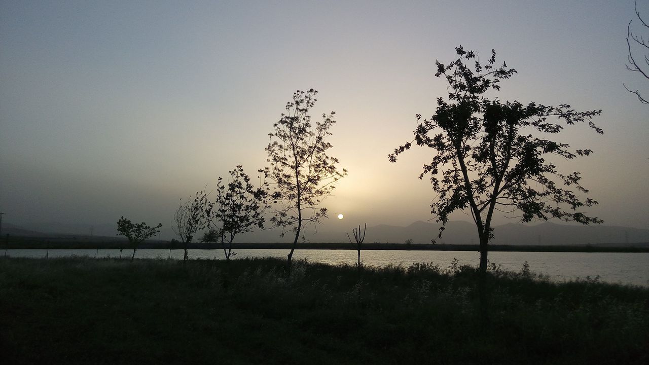 IMG_20150528_190738.jpg