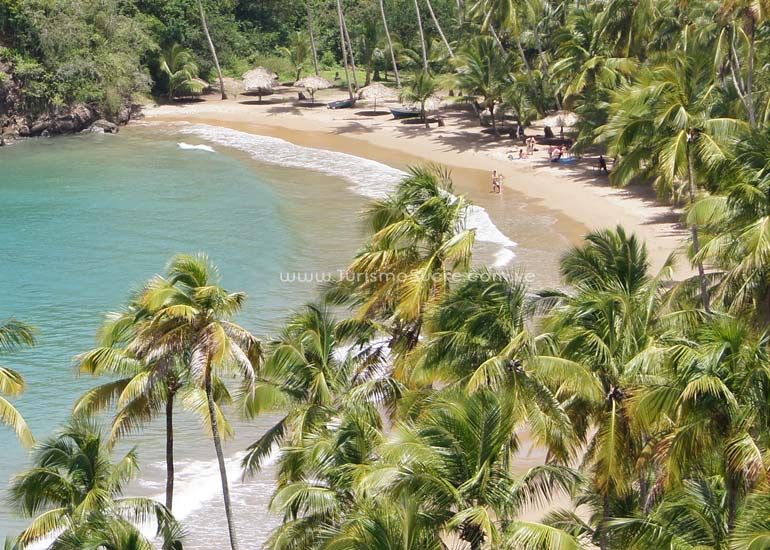 playamedina_770x550.jpg