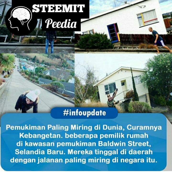 info2_1515063521030.jpg