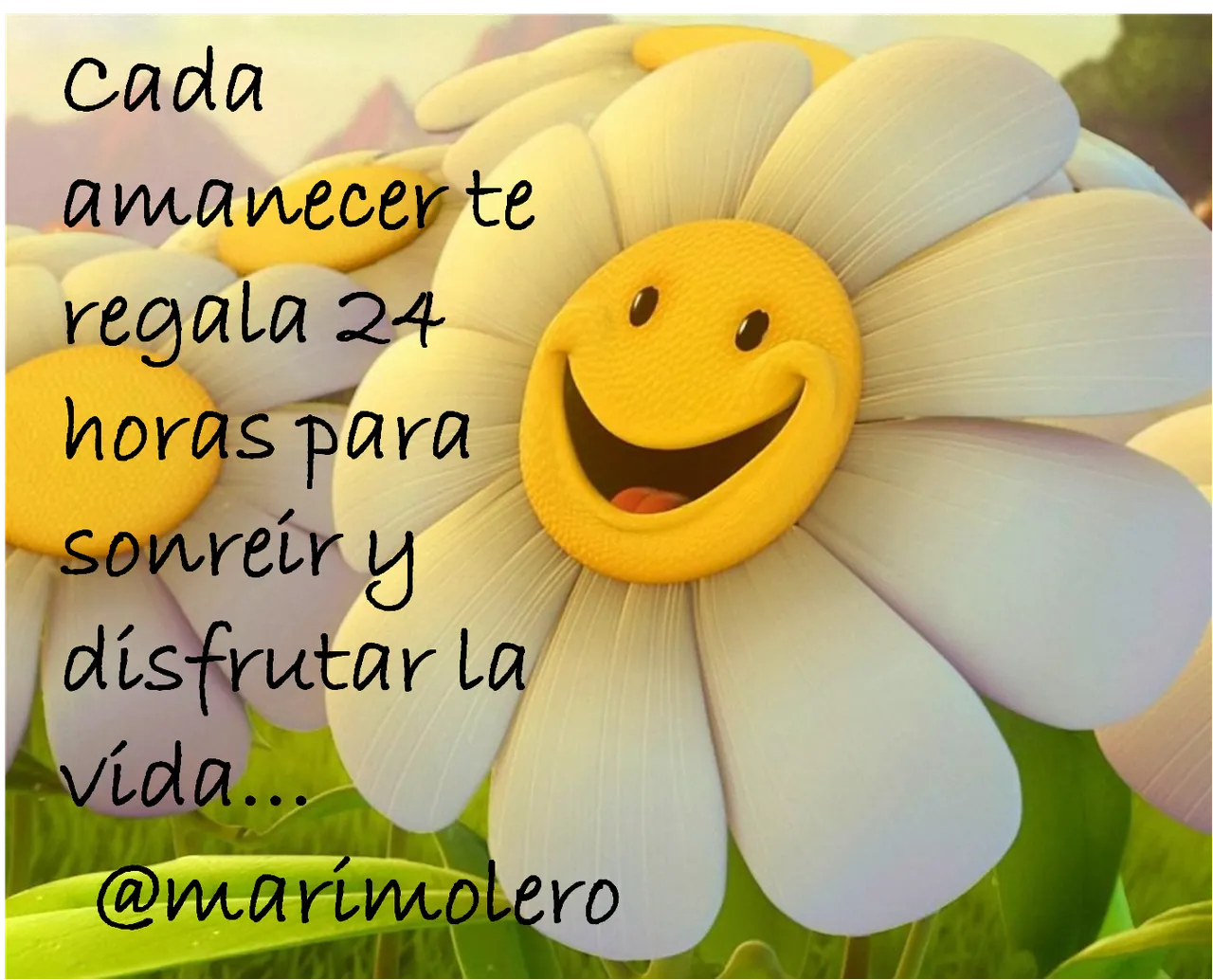 tarjeta mari molero.png