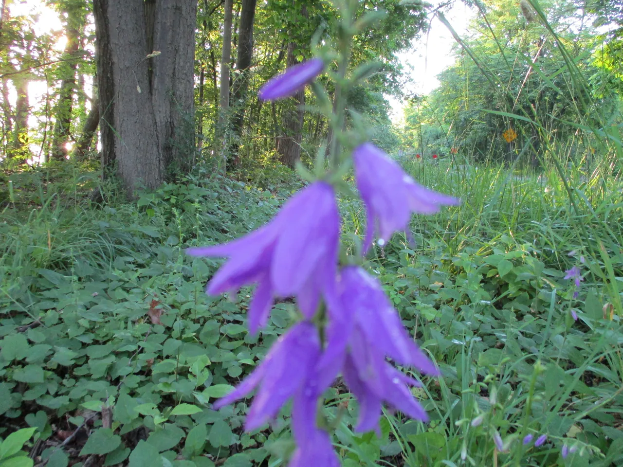 2017-06-30 02.28.36.jpg