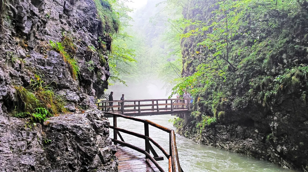 20140813_140014_HDR.jpg