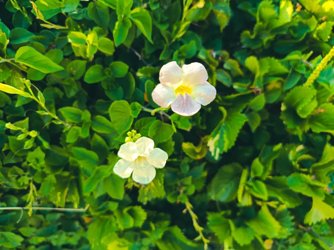 js1pDAKpz8sJeTjC_1000257809.webp