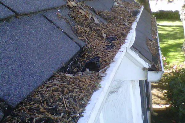 Cleaning-Your-Rain-Gutters.jpg