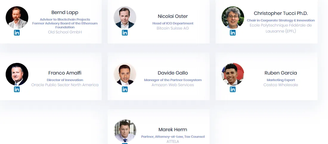 wbusiness strategy advisor.PNG