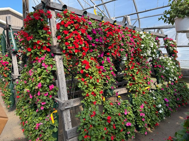 weekend-experience-greenhouse-n.jpg
