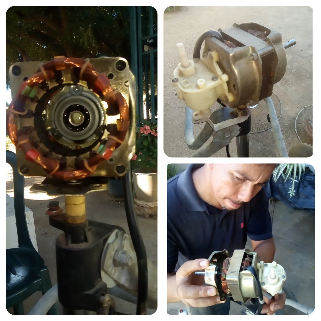 CollageMaker_20211204_140430806.jpg