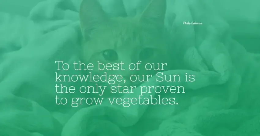 sun quotes