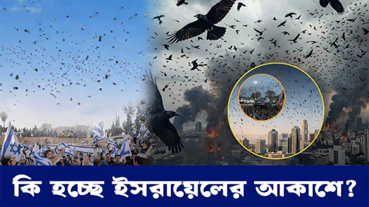 Fearsome Swarm of Birds in the Israeli Sky — What’s Happening?