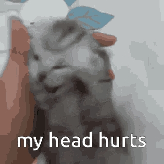 untitled.gif