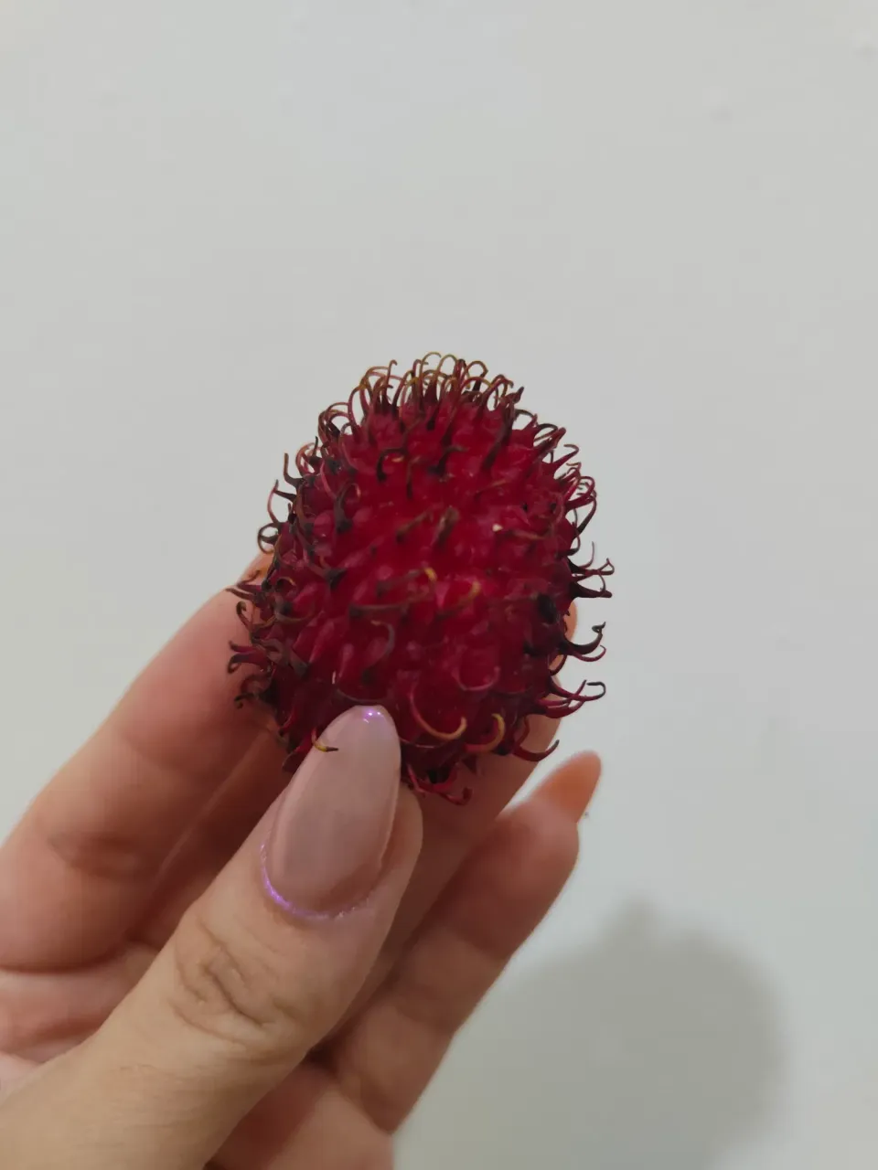 AJDxYIzf4lFwndJo_IMG20250401131347.webp