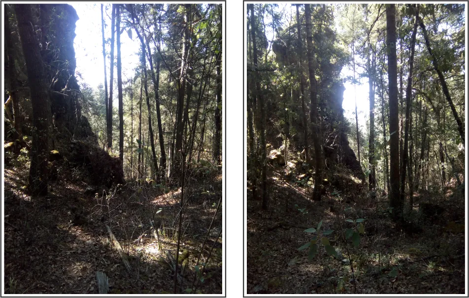 sierra de las navajas - composicion 4.png