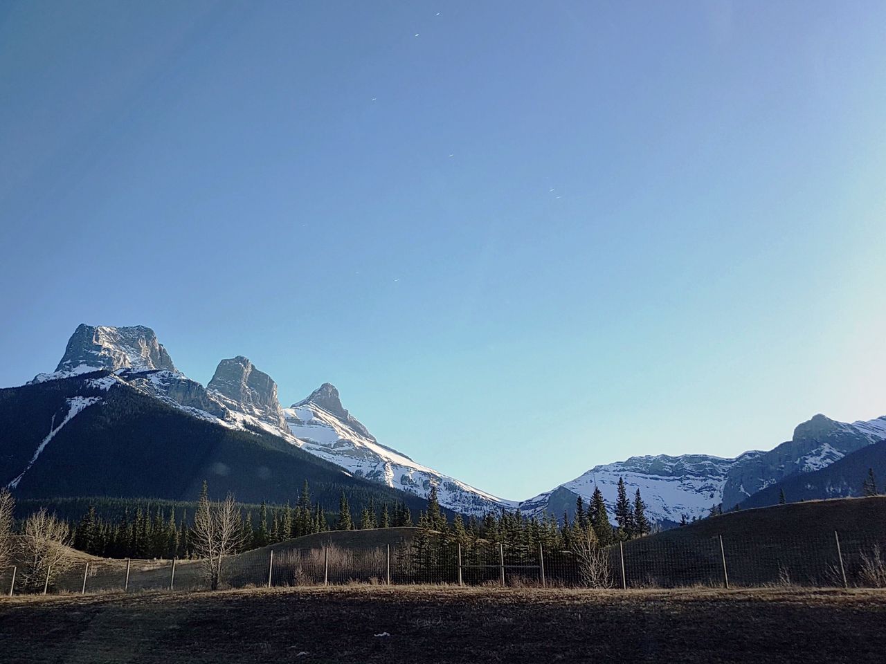 655FEF40-51E4-4665-9D22-477E34D29409.jpeg