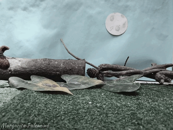 La Luna sucia / The Dirty Moon 