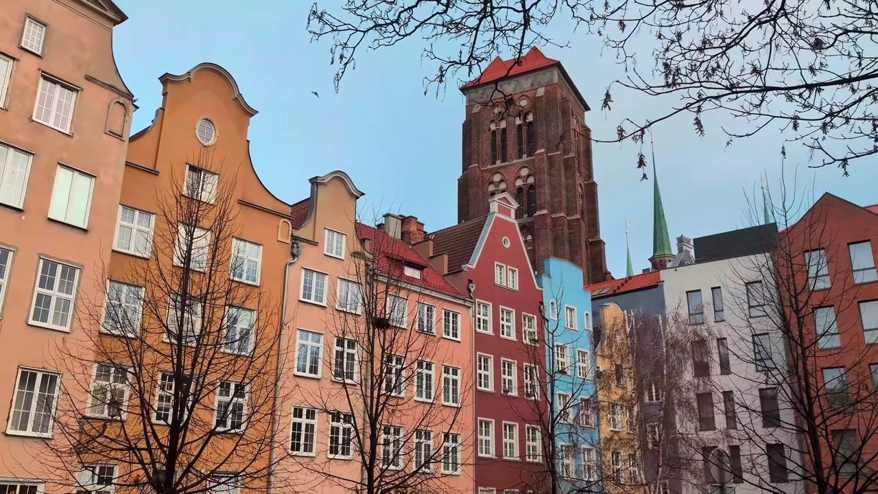 359.jpg