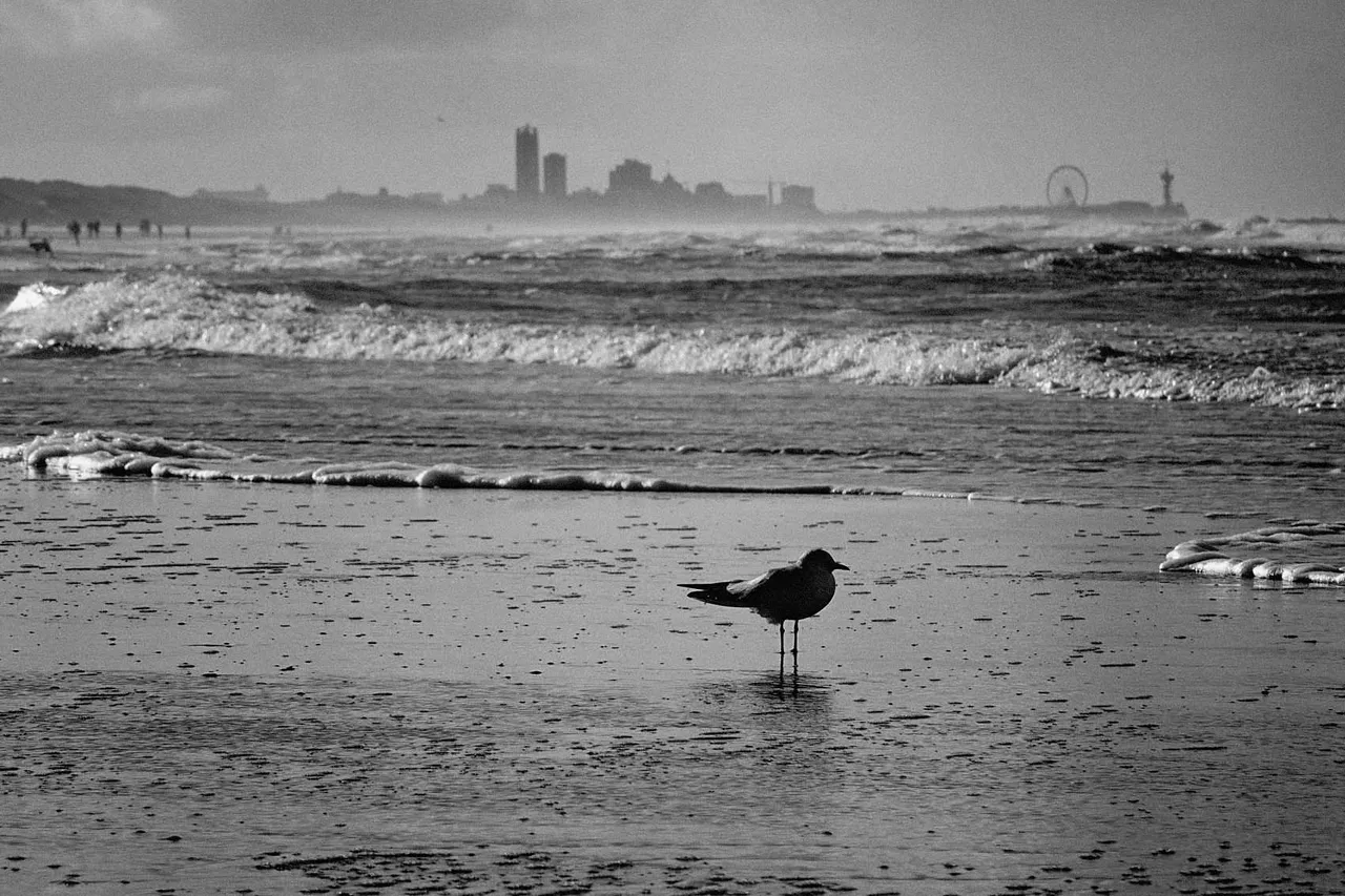 Beach1.jpg