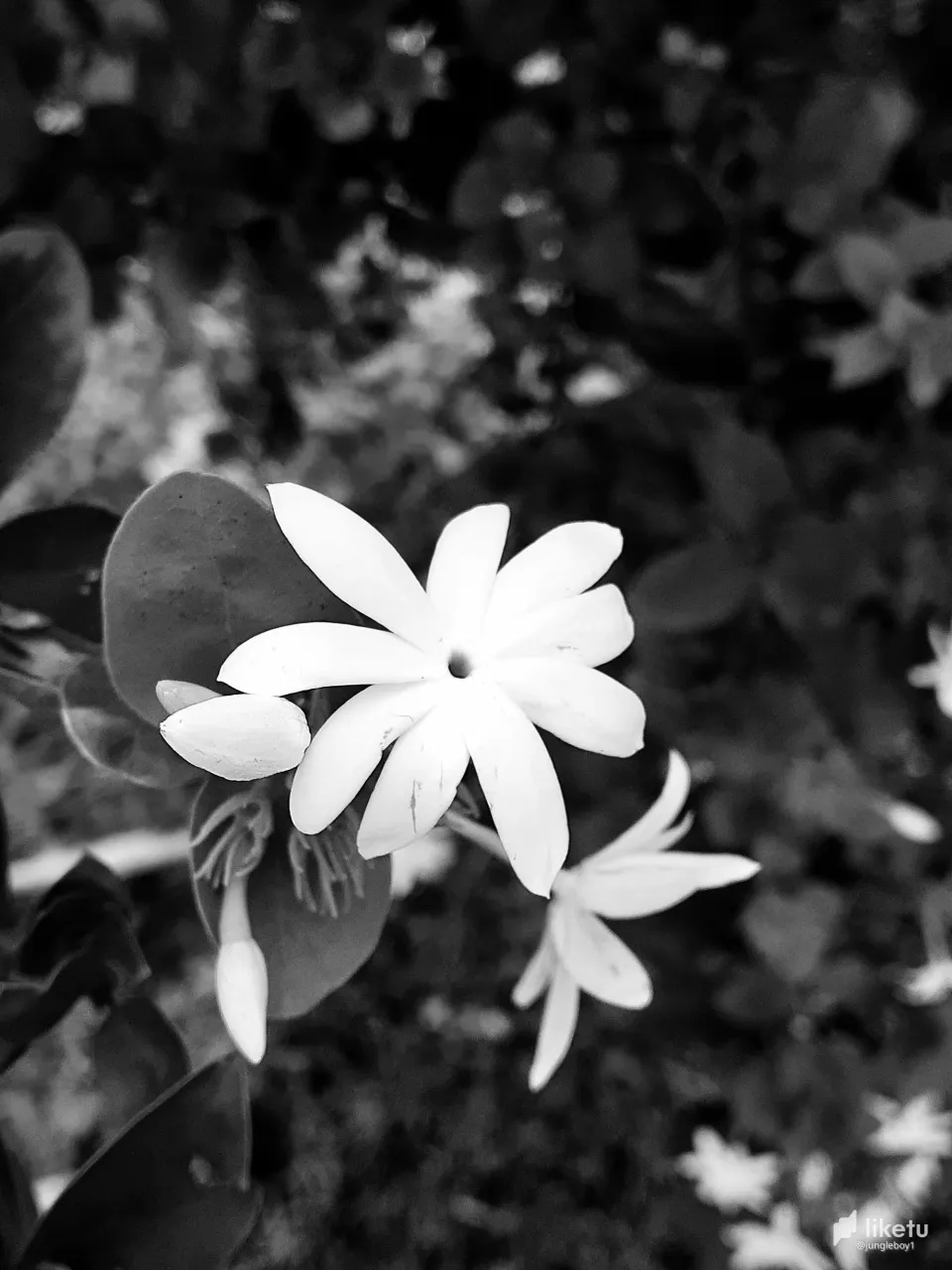 405opfuq8tl3bwvd83_20220516_154003.jpg
