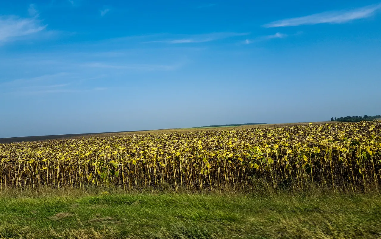 20200903_115455.jpg