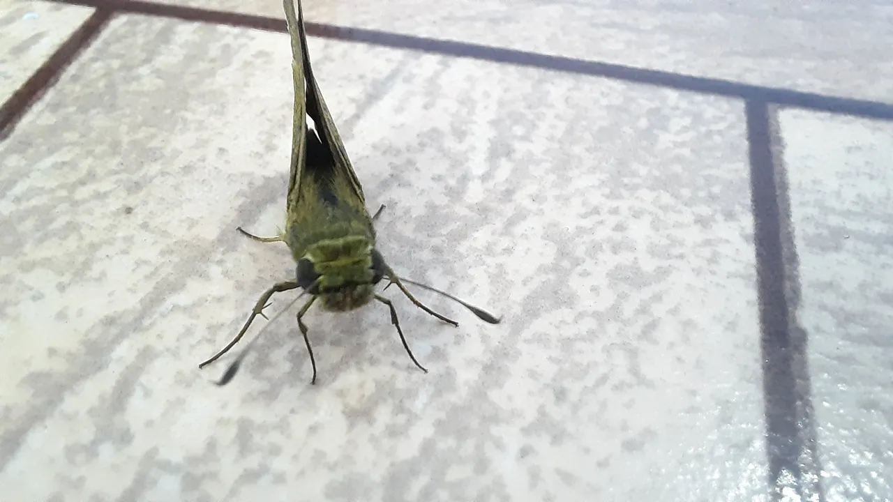 20201007_123522.jpg
