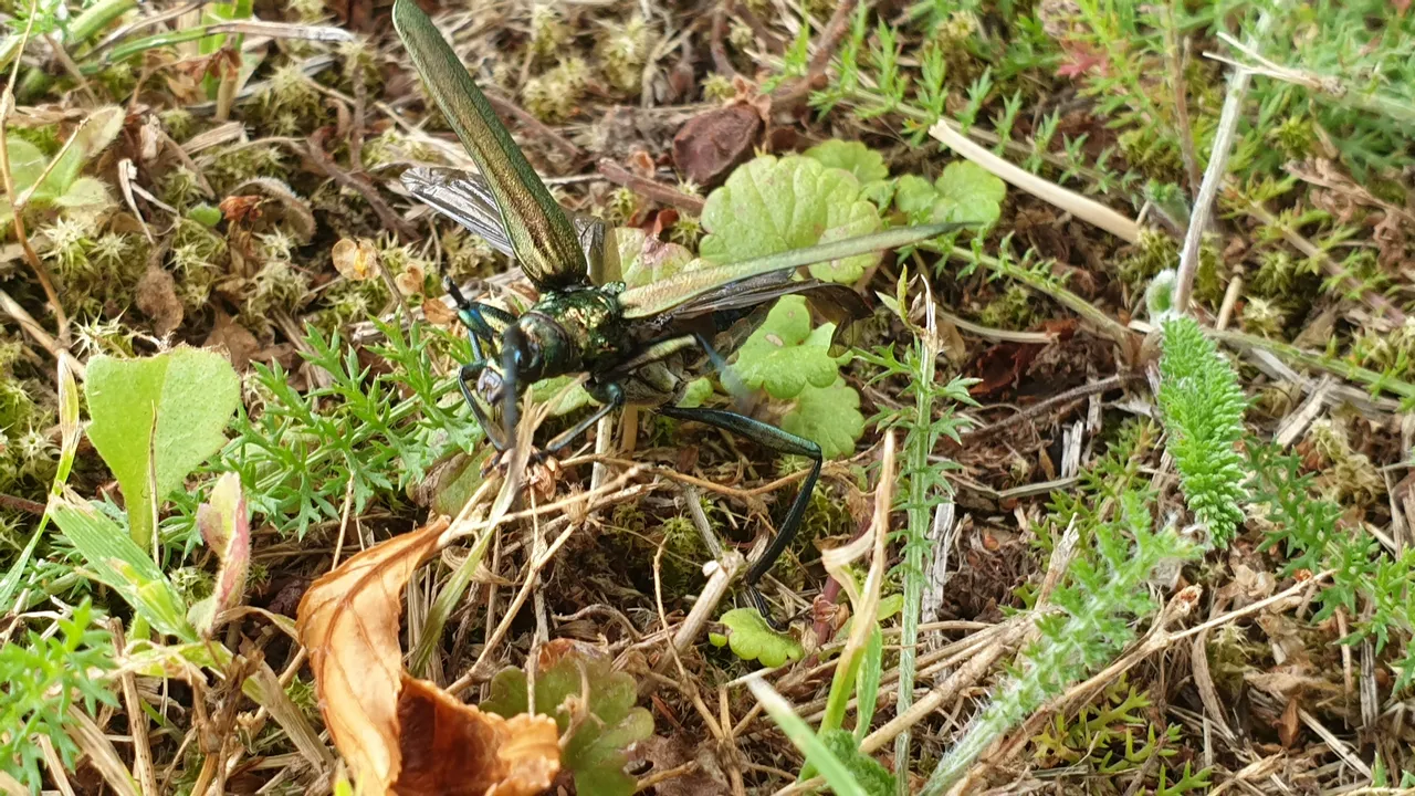 20190720_104957.jpg