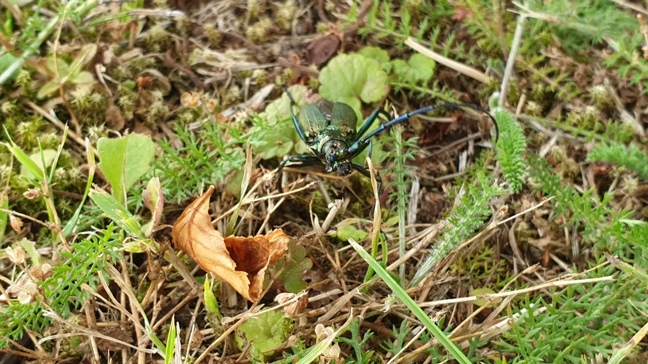 20190720_105004.jpg