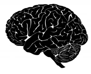 black brain