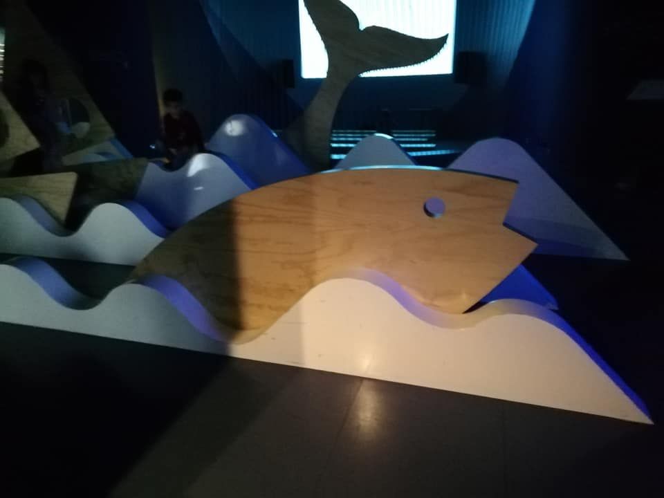 56952800_10161931195090554_2625163640008867840_n.jpg