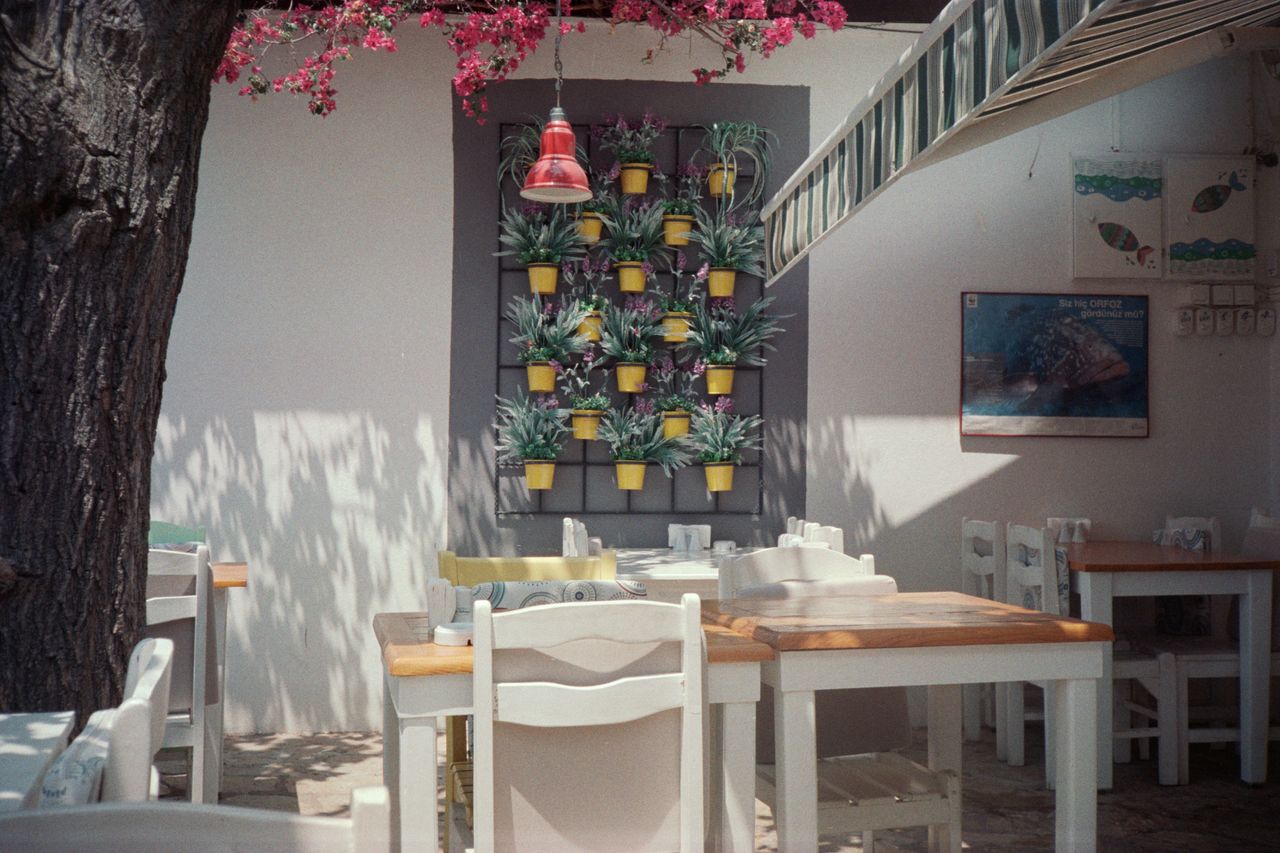 img0011.jpg