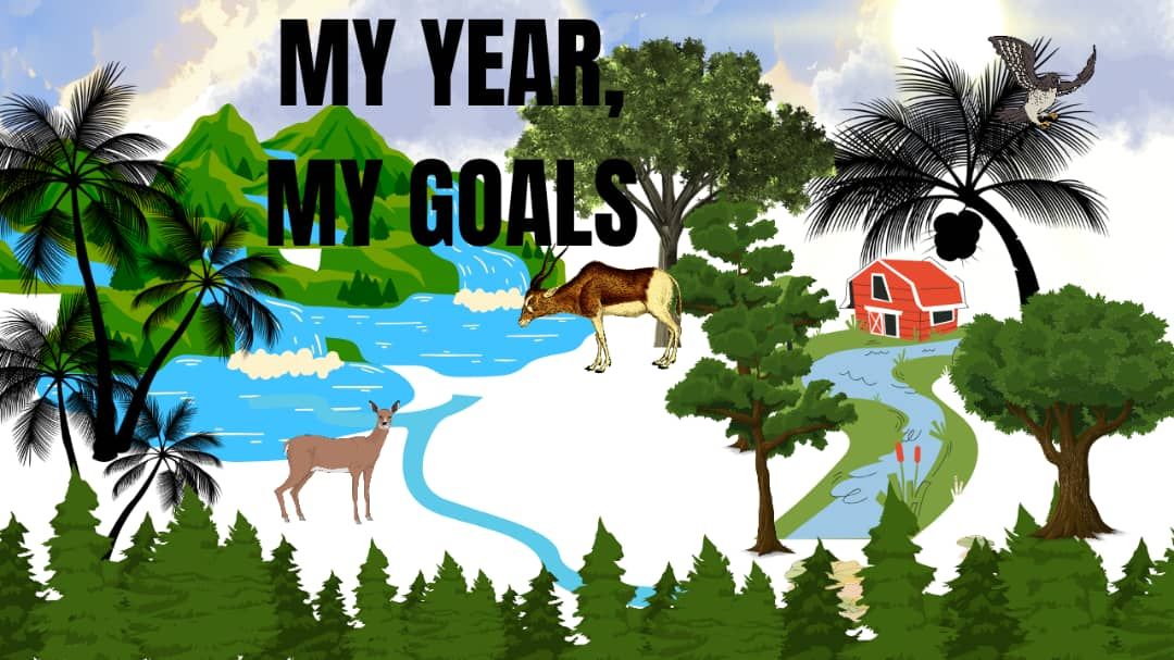 MY YEAR, MY GOALS