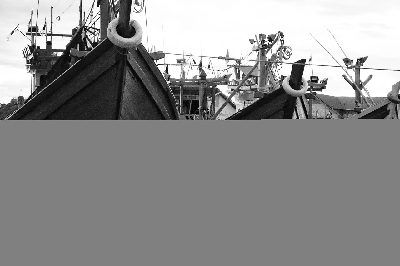 DSC03980-01.jpeg