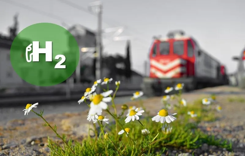 portada tren.jpg