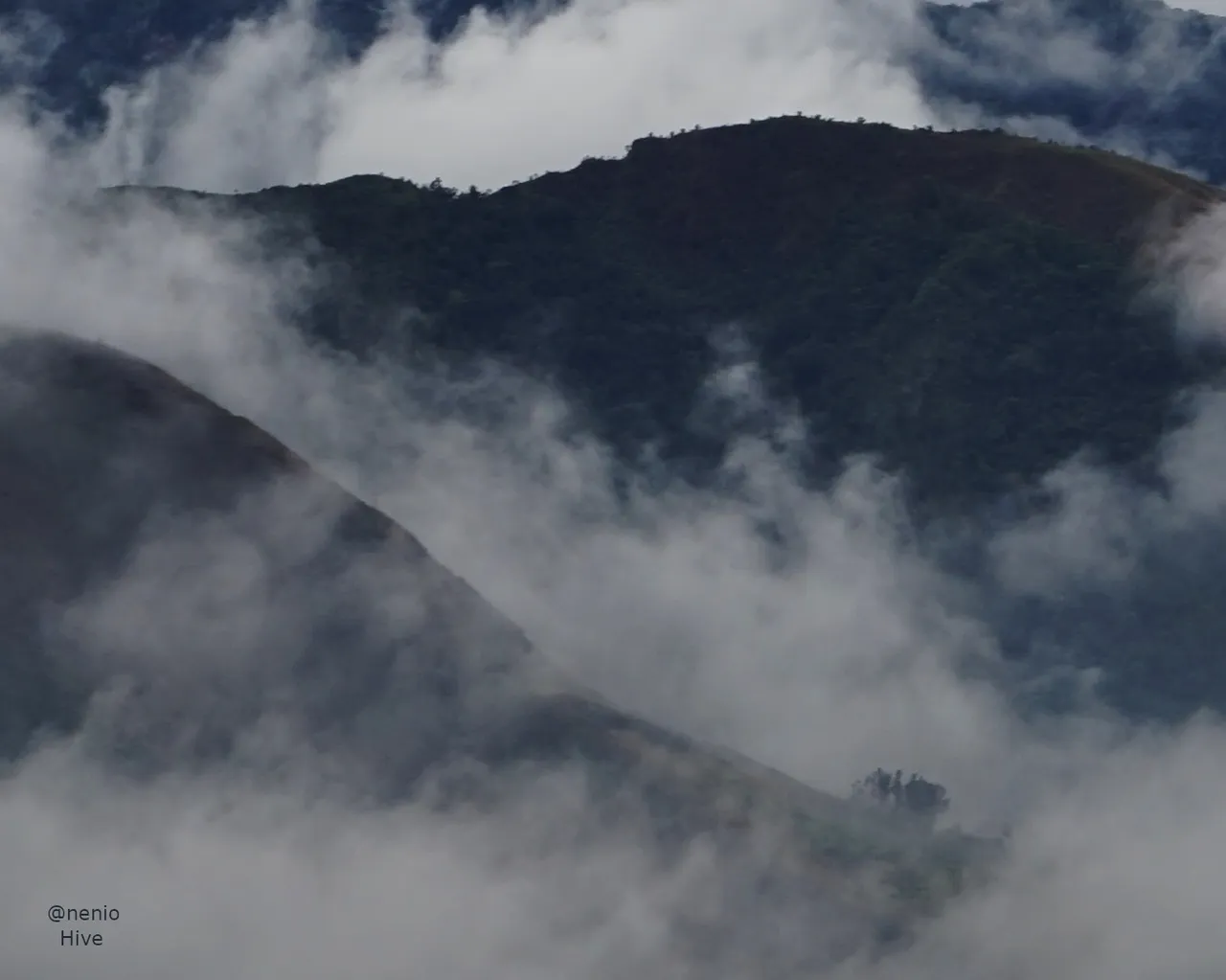 mist-fog-004.JPG