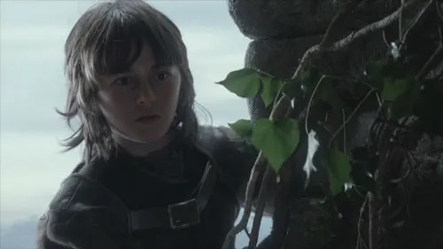 Bran Incest.jpg