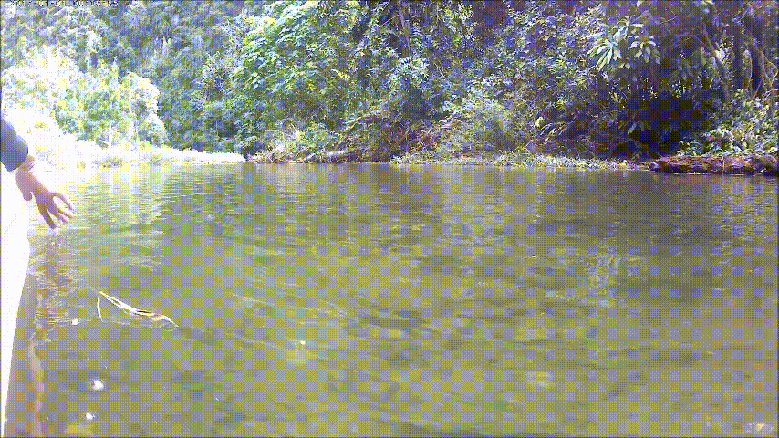 treiben (1).gif