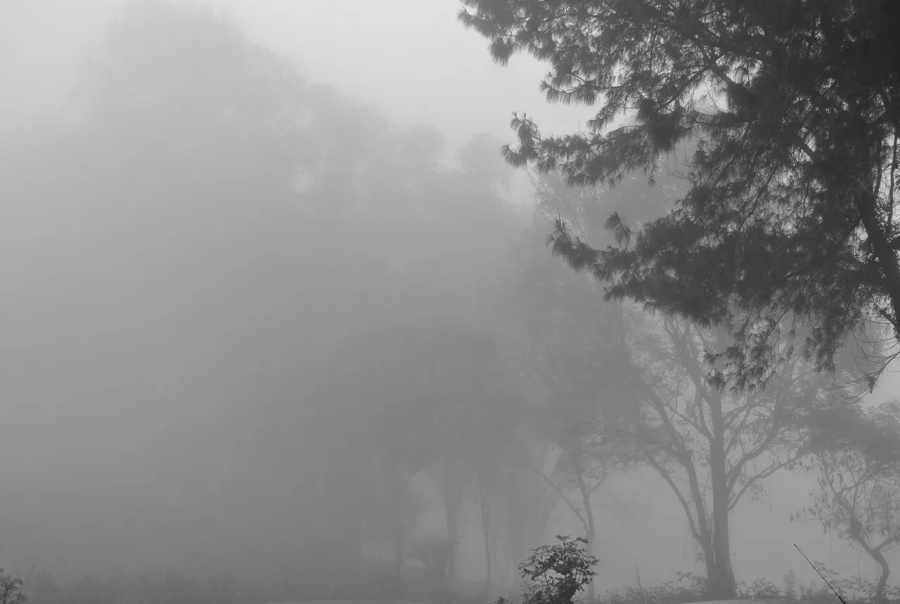 DSC_6367grs.jpg